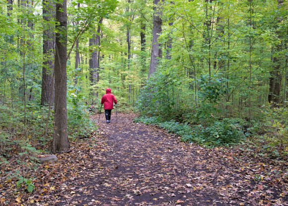 La marche nordique : un sport idéal pour seniors incontinents